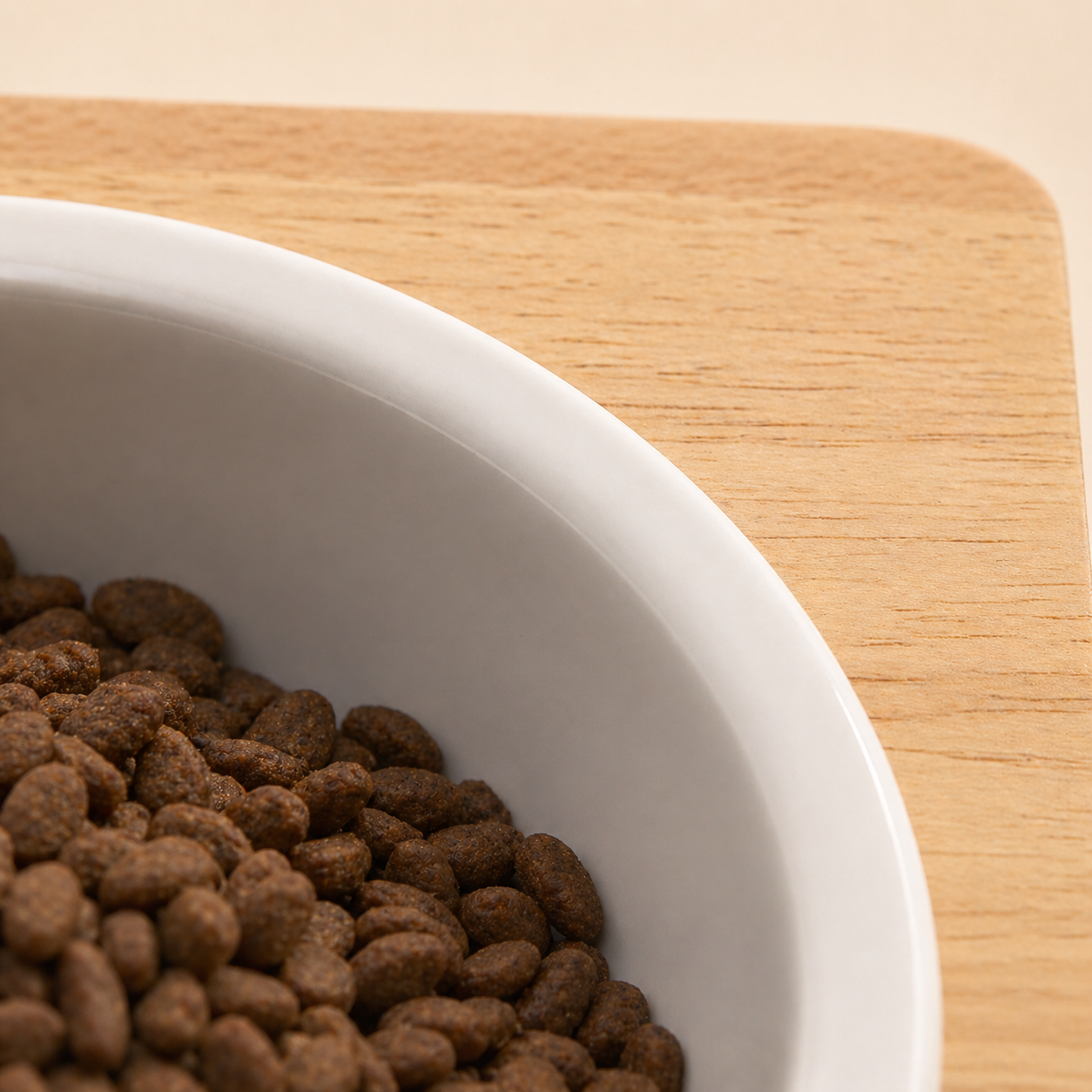Close-up of food in the Homestead feeder bowl