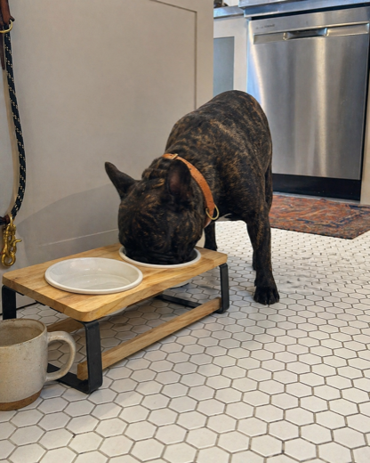Maya R.'s French Bulldog with the Homestead feeder