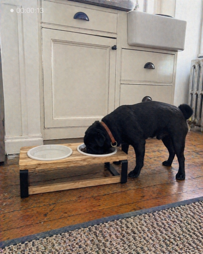 Anna B.'s Pug with the Homestead feeder
